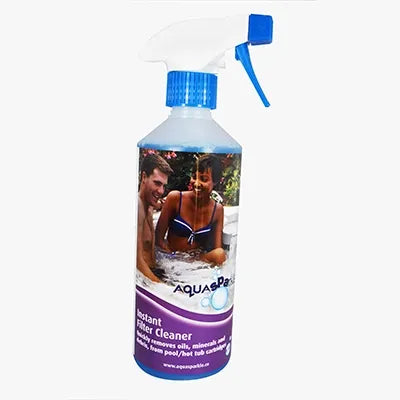 Instant Filter Clean - 0.5 LTR